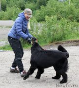 Превью фото № 128160