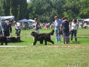 Превью фото № 128172