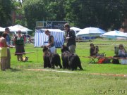 Превью фото № 128174