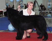 Превью фото № 128178