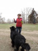 Превью фото № 128227