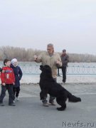 Превью фото № 128234