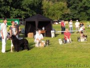 Превью фото № 128269