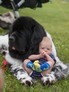 Превью фото № 128282