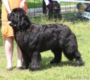 Превью фото № 128305