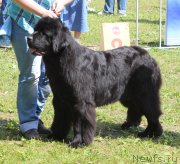 Превью фото № 128306