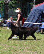 Превью фото № 128307