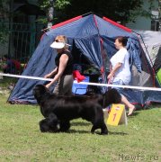 Превью фото № 128308