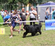 Превью фото № 128327