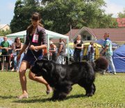 Превью фото № 128328