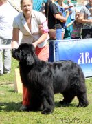 Превью фото № 128331