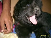 Превью фото № 128342