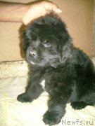 Превью фото № 128344