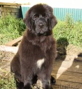 Превью фото № 128415