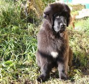 Превью фото № 128416