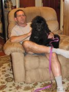 Превью фото № 128513