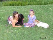 Превью фото № 128518