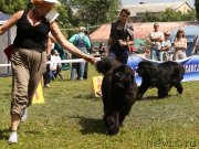 Превью фото № 128525