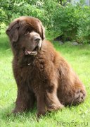 Превью фото № 128531