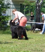 Превью фото № 128613