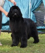 Превью фото № 128626