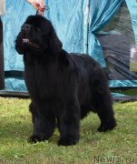 Превью фото № 128628