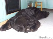 Превью фото № 128720