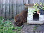 Превью фото № 128722