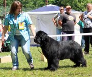 Превью фото № 128727