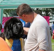 Превью фото № 128730