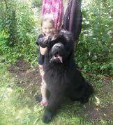 Превью фото № 128765