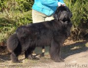 Превью фото № 128820