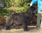 Превью фото № 128822