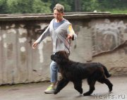 Превью фото № 128975