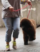 Превью фото № 128979