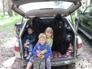 Превью фото № 128989