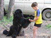 Превью фото № 128990