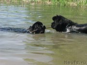 Превью фото № 128993