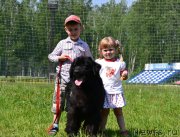 Превью фото № 129006