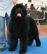 Превью фото № 129025