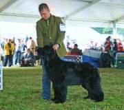 Превью фото № 129027