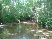 Превью фото № 129107