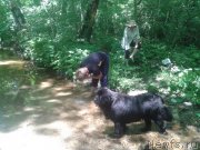 Превью фото № 129110