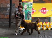 Превью фото № 129122