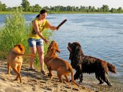 Превью фото № 129231