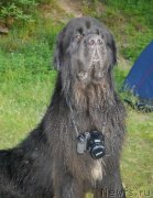 Превью фото № 129233