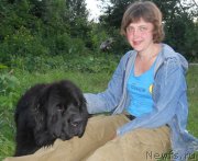 Превью фото № 129242