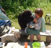 Превью фото № 129244