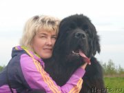 Превью фото № 129246