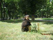 Превью фото № 129319